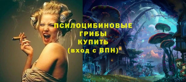 шишки Вязники