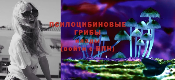 a pvp Осташков
