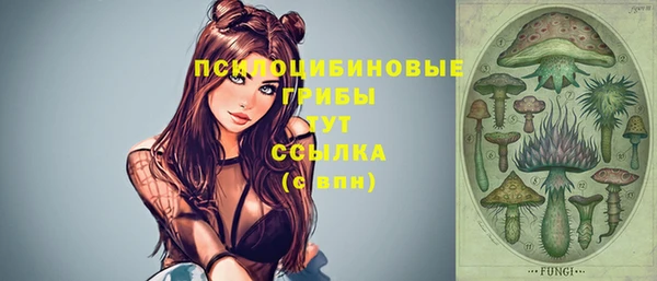 альфа пвп Остров