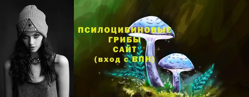 купить наркоту  Бабушкин  blacksprut как войти  Псилоцибиновые грибы Magic Shrooms 