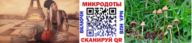 цены   Бабушкин  ОМГ ОМГ ONION  Галлюциногенные грибы MAGIC MUSHROOMS 